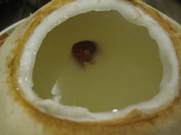 Bird's Nest Soup